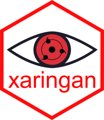 xaringanPackage